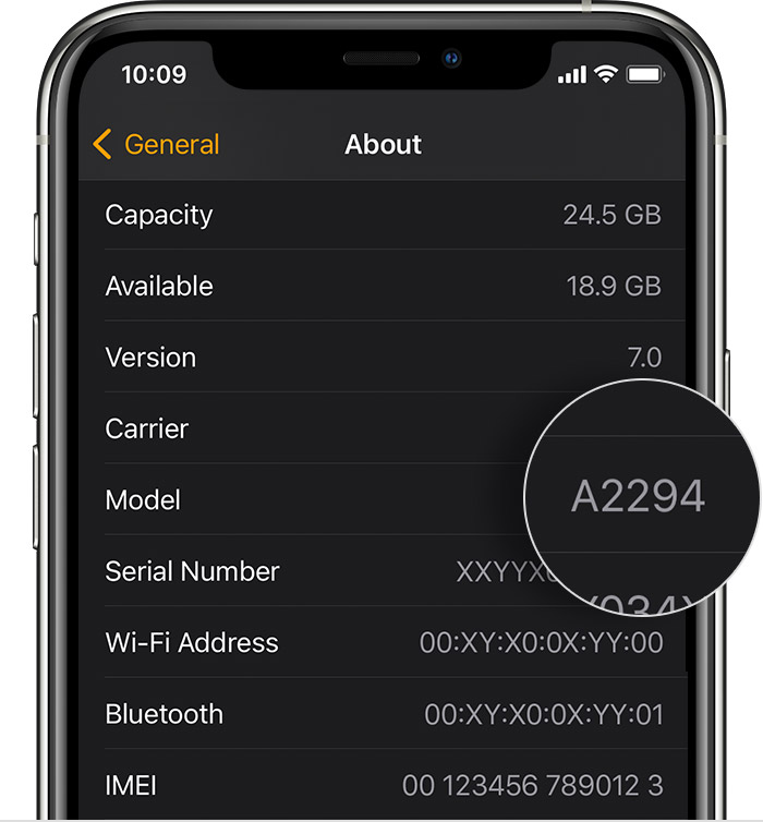 ios14-iphone11-pro-watch-series6-settings-general-about-model.jpg