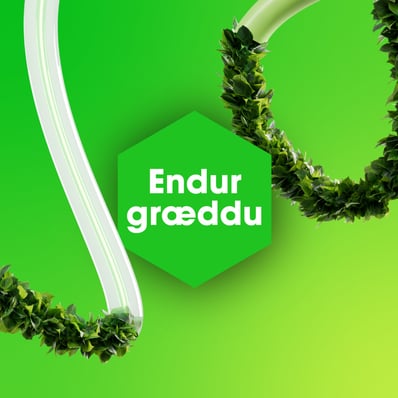 Lendingarsíða_Endurgræddu (1)-1